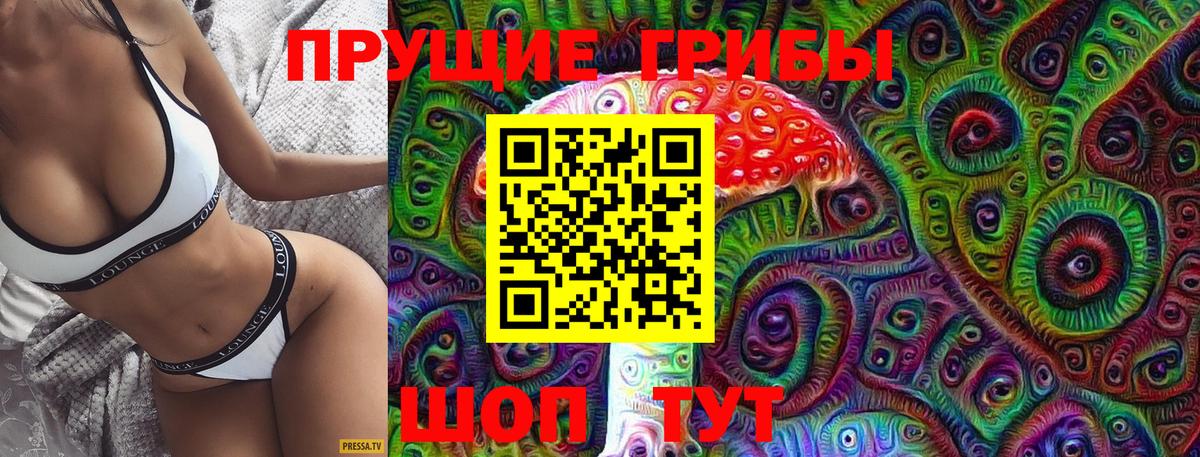 Галлюциногенные грибы Psilocybe  Вход с VPN  Реутов 